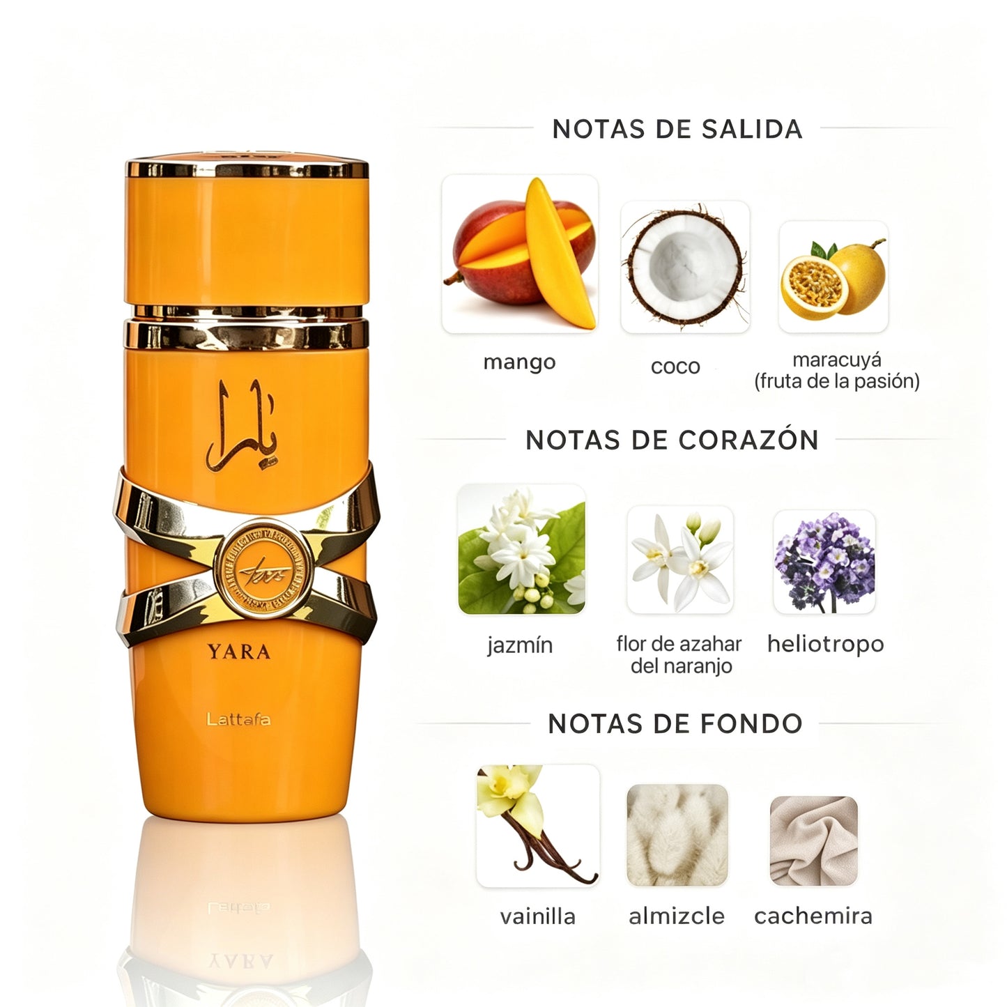 Lattafa Yara Tous Eau de Parfum 100ml - Frutal Floral para Mujer