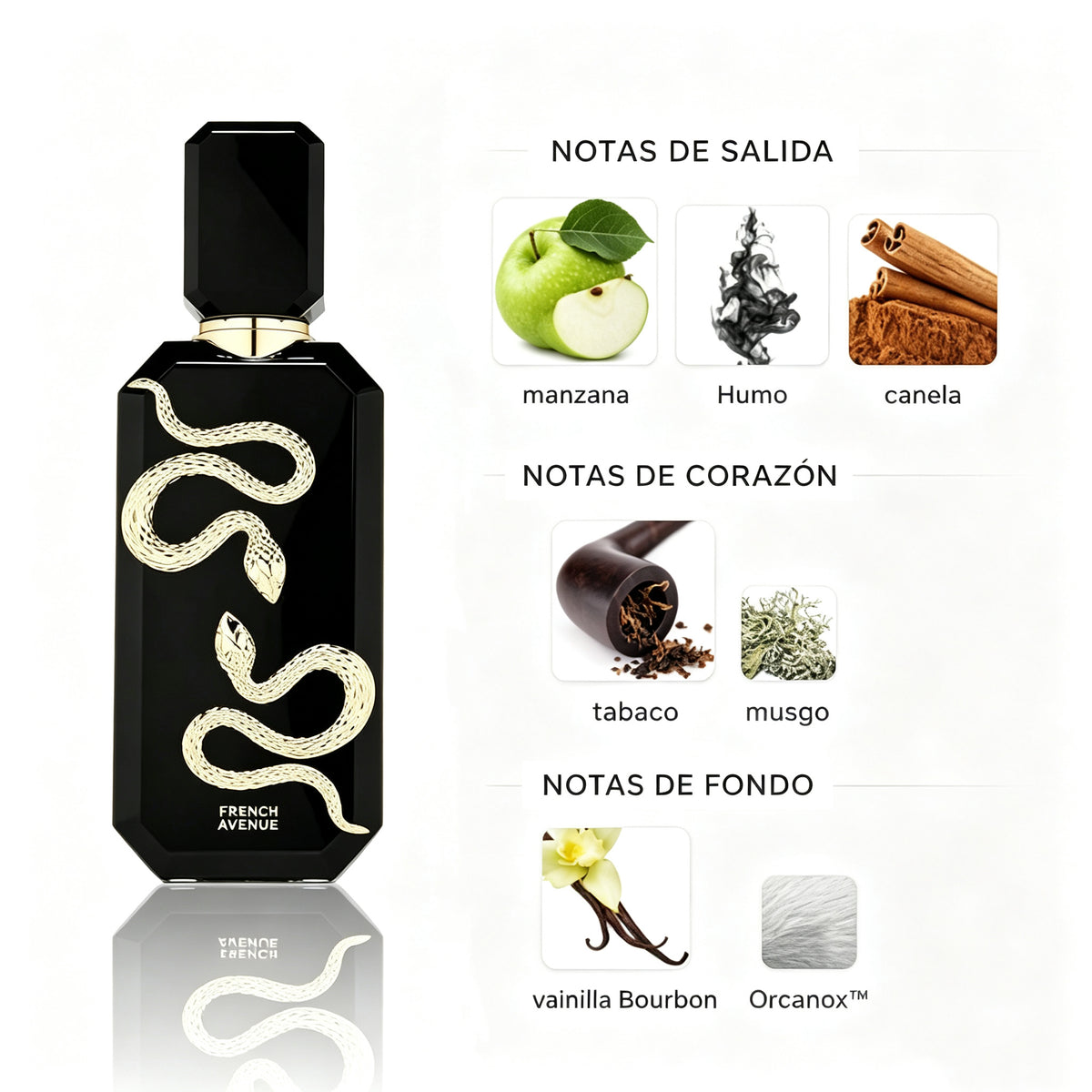 French Avenue Veneno Eau de Parfum 100ml -  Amaderada Ámbar Oriental Unisex