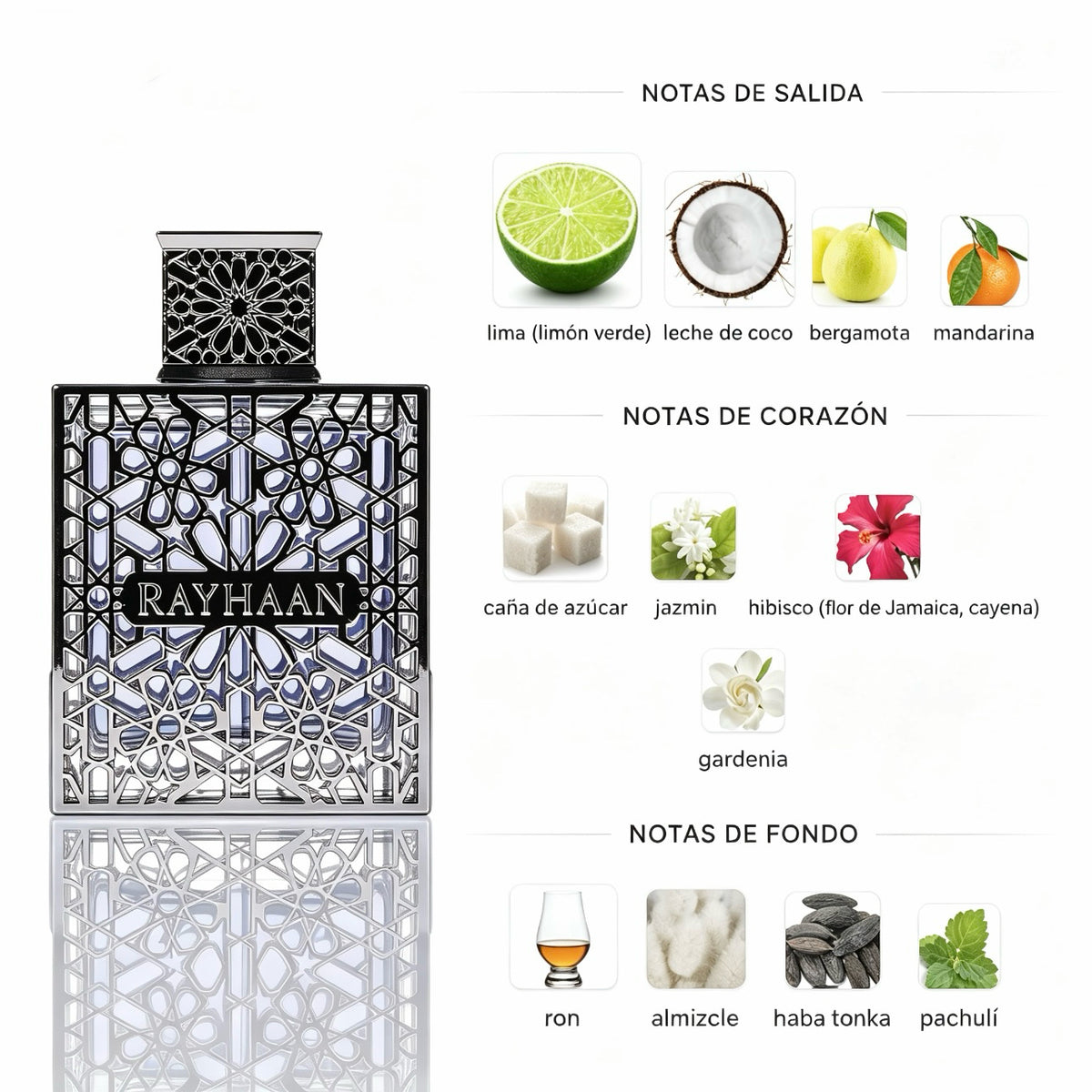 Rayhaan Aquatica Eau de Parfum 100ml -  Floral Amaderada Ahumada para Hombre